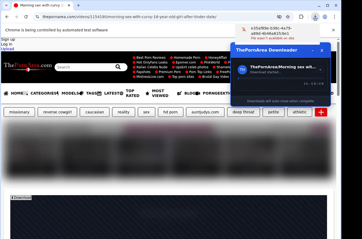 Thepornarea Video Downloader screenshot 2