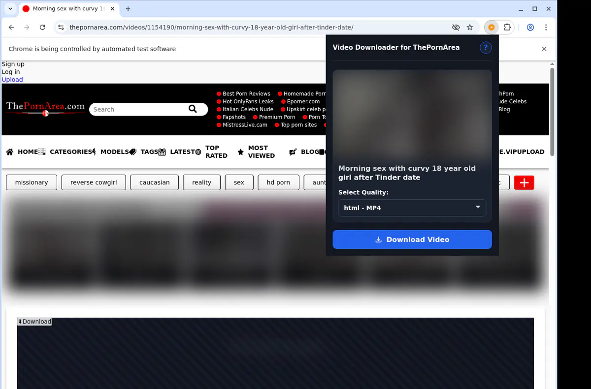 Thepornarea Video Downloader screenshot 3