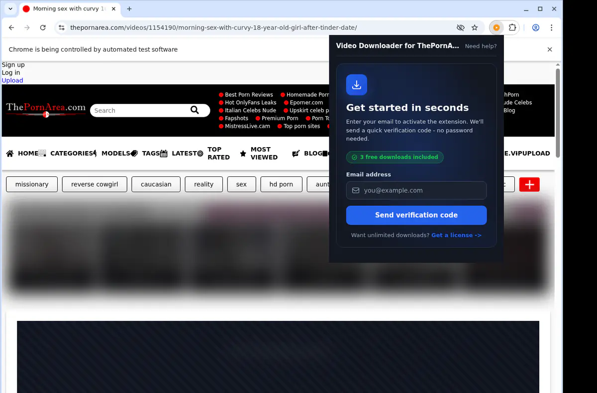 Thepornarea Video Downloader screenshot 5